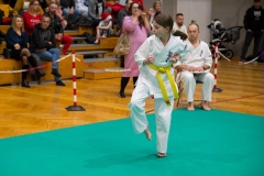 Mikolajki-Karate-22-208