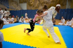 Mikolajki-Karate-22-210