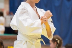 Mikolajki-Karate-22-211
