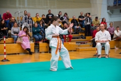 Mikolajki-Karate-22-213