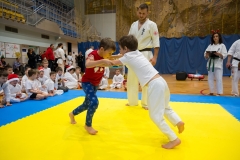 Mikolajki-Karate-22-215