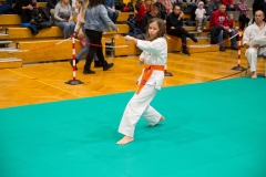 Mikolajki-Karate-22-227
