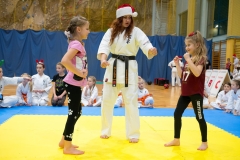 Mikolajki-Karate-22-231