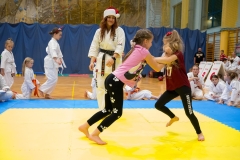 Mikolajki-Karate-22-232