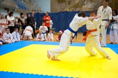 Mikolajki-Karate-22-234