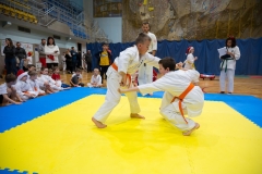 Mikolajki-Karate-22-252