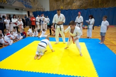 Mikolajki-Karate-22-256