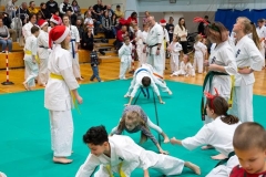 Mikolajki-Karate-22-264