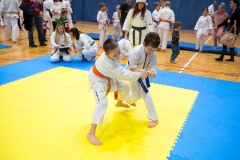 Mikolajki-Karate-22-271