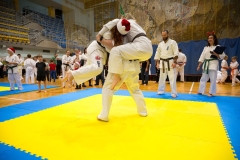 Mikolajki-Karate-22-295