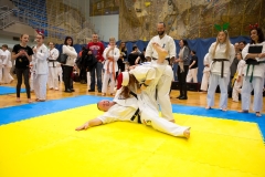 Mikolajki-Karate-22-301