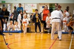 Mikolajki-Karate-22-302