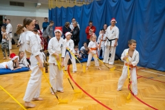 Mikolajki-Karate-22-306