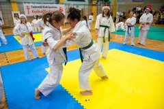 Mikolajki-Karate-22-308