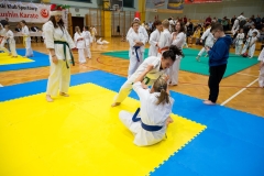 Mikolajki-Karate-22-309