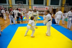 Mikolajki-Karate-22-313