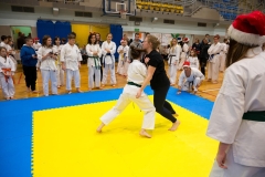Mikolajki-Karate-22-318
