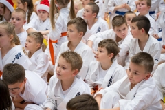 Mikolajki-Karate-22-331