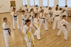 520832759_1553695389289458_6709965027830998591_n