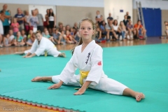 722237fae31ef73d9991815925095b7b011