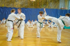 541748688_1594052995253697_8553151330664911666_n