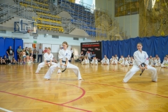 541780221_1594052615253735_7404455166748377987_n