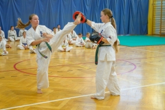 541899052_1594051295253867_6675578866133404468_n