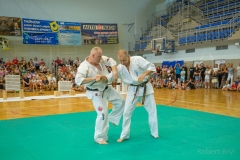 542206805_1594056465253350_9116855972768234885_n