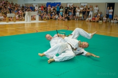 542207884_1594056738586656_7577384335672822549_n