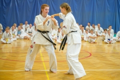 542737249_1594053575253639_6488658905947984495_n