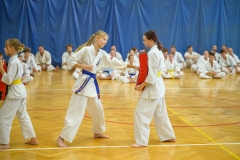 543457582_1594050555253941_7837752567805712298_n