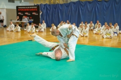 544425717_1594055551920108_8209738715498020164_n