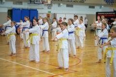 544589323_1594049381920725_4634266769066350002_n