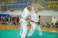 544633462_1594056821919981_778001758515205620_n