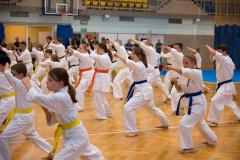 Start-Karate-22-23-41