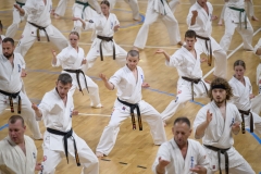 DSE1071