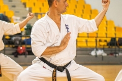 63354a66d497e_o_large