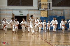 karate_sred_02