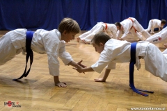 karate_sred_04