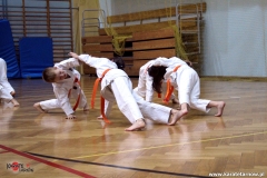 karate_sred_06