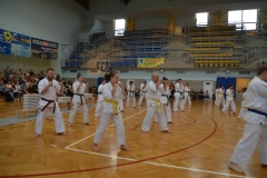 241675495_3032569957019086_1360015945915431755_n