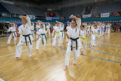 505373181_1521151365877194_4817004482490588784_n