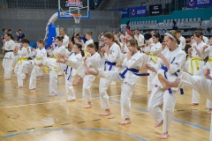 505431542_1521151092543888_5986297478029564100_n