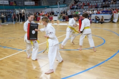 505842388_1521151619210502_5251269872310240678_n