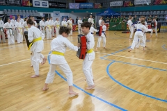 506630857_1521151542543843_2170290856802669352_n