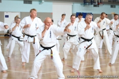 trening-shihan-062018-22