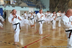 trening-shihan-062018-36