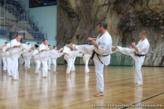 trening-shihan-062018-38