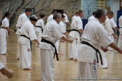 trening-shihan-062018-80