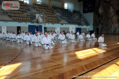 Trening-Shihan-Gwizd-2019-1